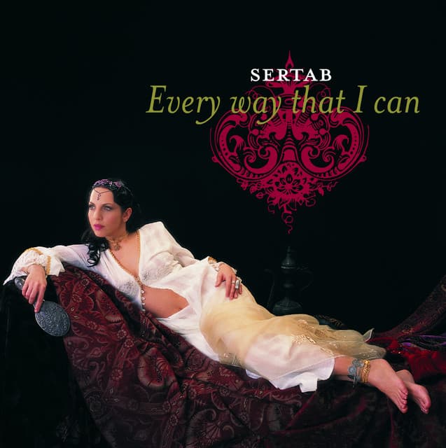 Every Way That I Can artwork